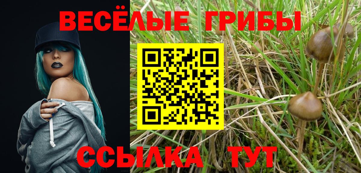 Псилоцибиновые грибы ЛСД Новый Уренгой