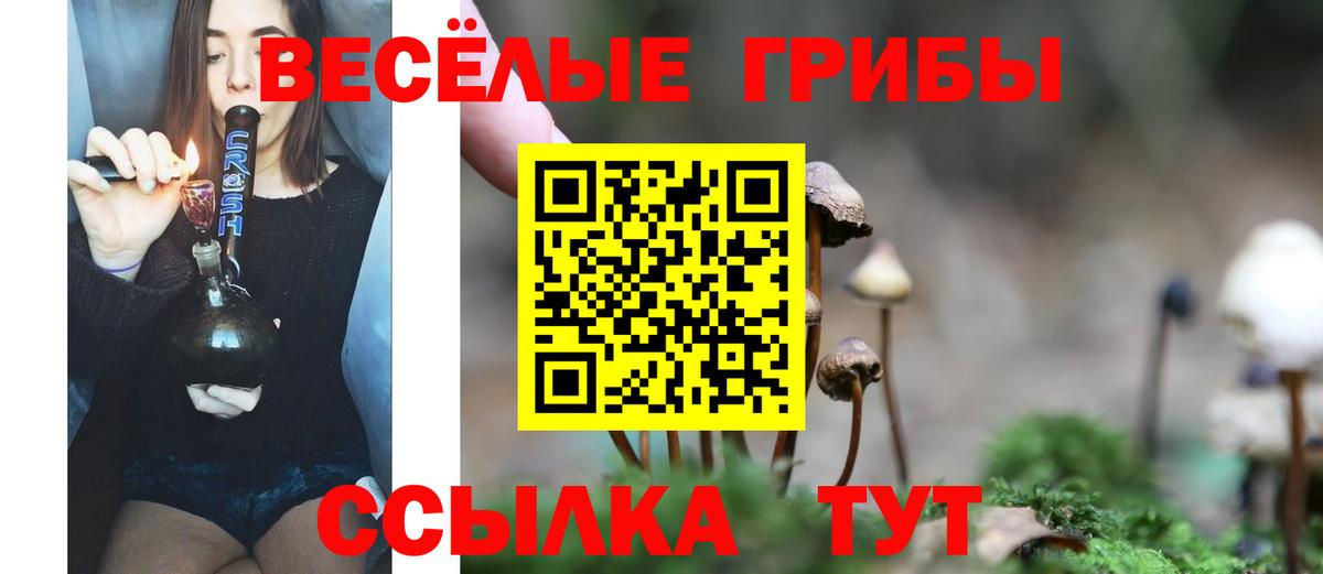 Псилоцибиновые грибы мицелий  Вход с VPN  Новый Уренгой 